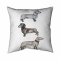 Fondo 20 x 20 in. Dachshund Dogs-Double Sided Print Indoor Pillow FO2772136